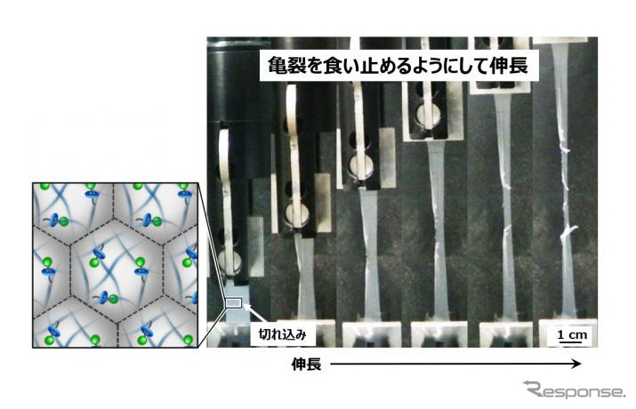本研究で作製した微粒子フィルムの切れ目からの引裂試験の様子