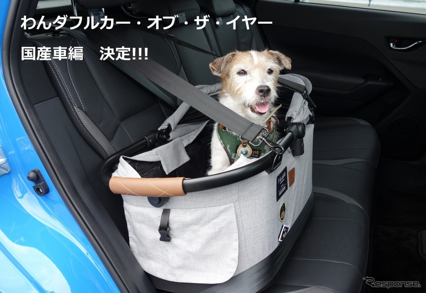 わんダフルカー・オブ・ザ・イヤー 2023-2024 国産車編