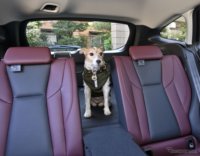 愛犬とドライブするのに役立つクルマの機能＆装備とは？