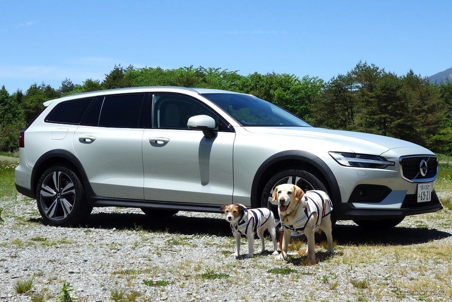 筆者の愛車と愛犬
