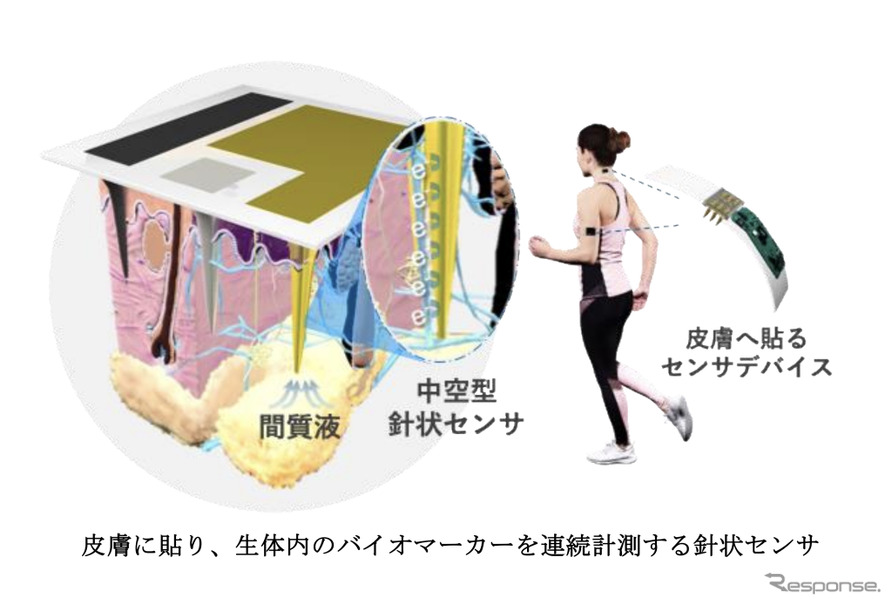 本田技術研究所、東京大学、大阪大学、三洋化成が皮膚に貼る新型センサー共同開発