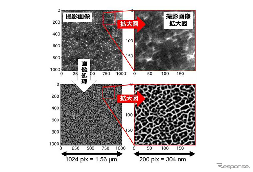 横浜ゴムが新画像処理技術を開発しゴム材料の内部構造を鮮明化