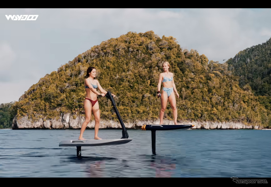 Waydoo Flyer EVO Pro