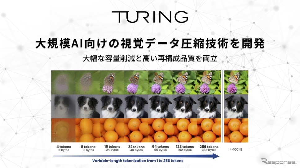 チューリングがマルチモーダルAI向け新圧縮技術を開発