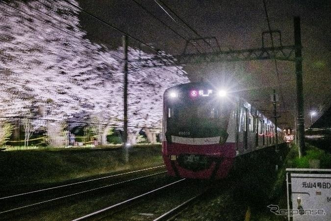 80000形とライトアップされた桜（2023年撮影）