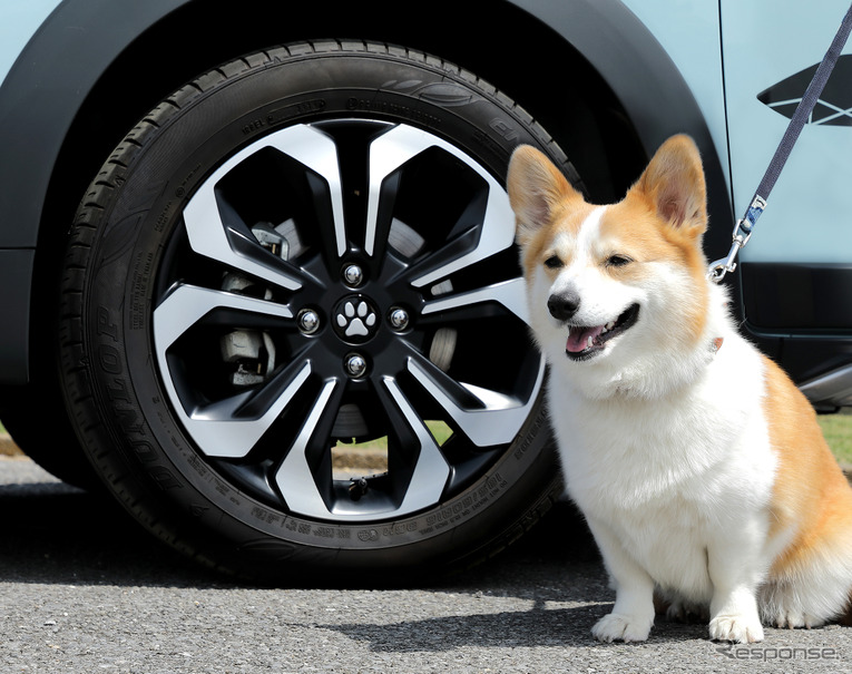 ホンダドッグシリーズ「ペットセンターキャップ（肉球）」