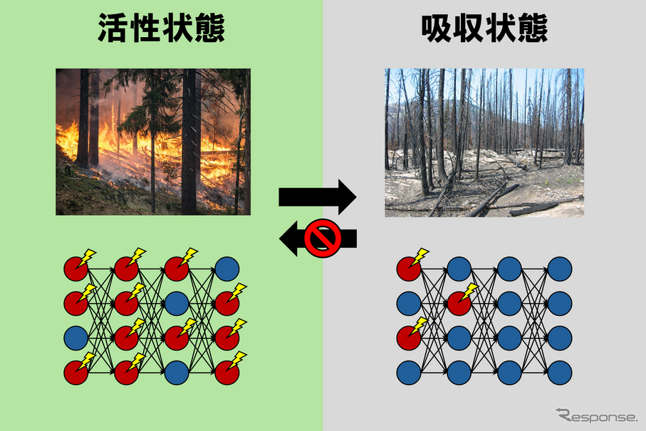 森林火災（上）と、ディープニューラルネットワークにおける人工ニューロンの活動（下）の類似性