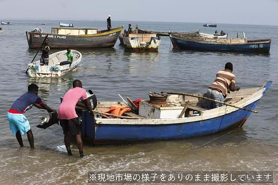 アンゴラの現地漁業の様子