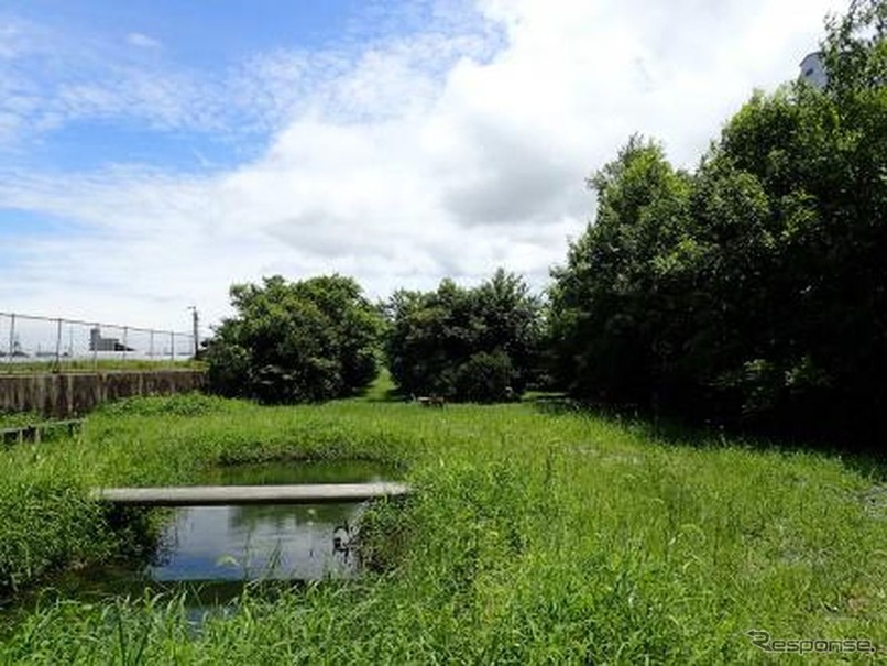 三重工場内の緑地