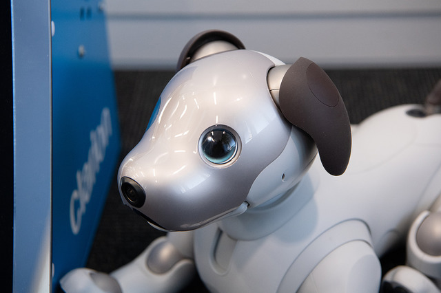 モデルチェンジしてより可愛らしくなったaibo